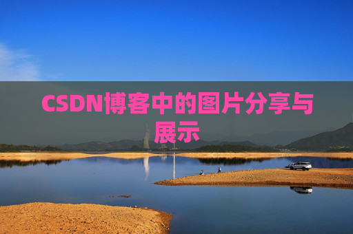 CSDN博客中的图片分享与展示